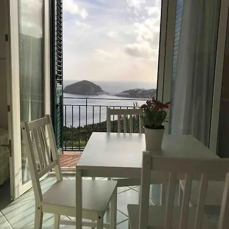 Il Fico “villa Nunzia” Apartman Ischia